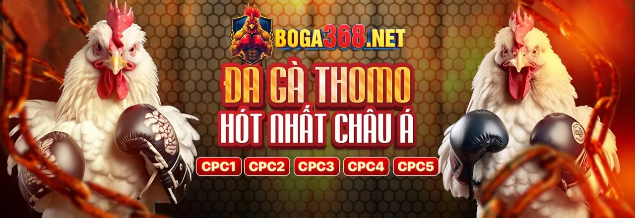 Các lợi ích khi tham gia Vuaclub link mới